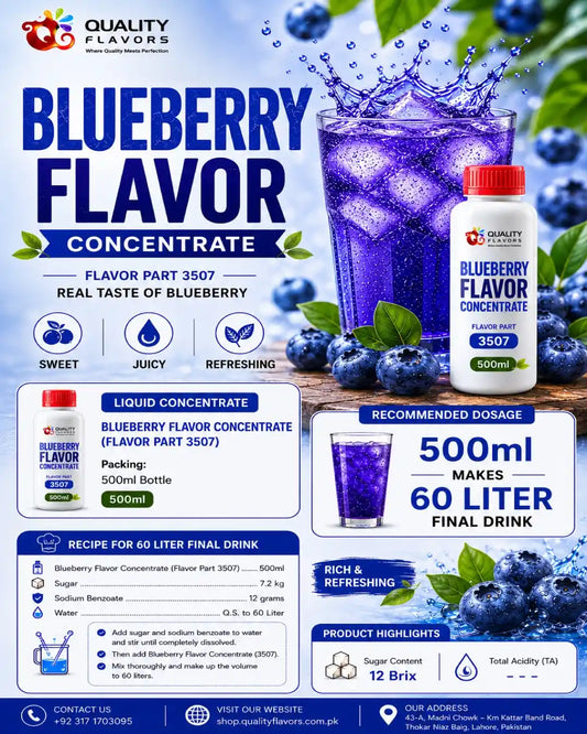 Blueberry Flavor Concentrate 3507